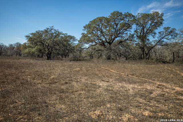 Listing photo id 34 for 1387 County Road 304