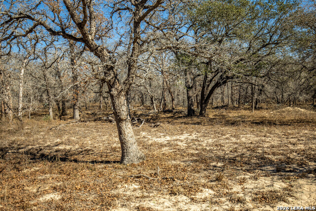 Listing photo id 35 for 1387 County Road 304