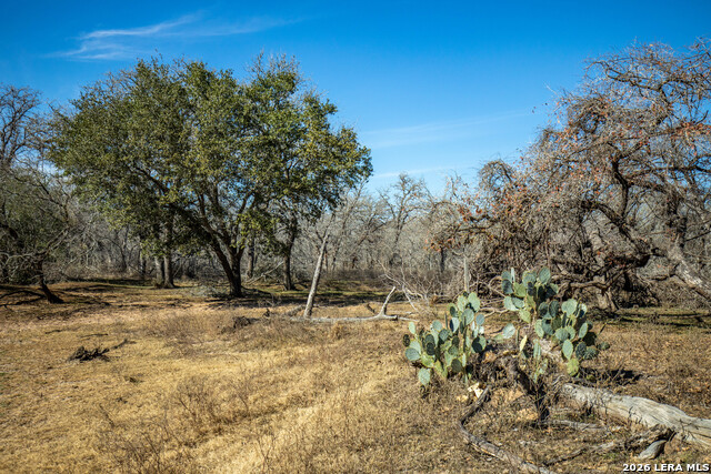Listing photo id 36 for 1387 County Road 304