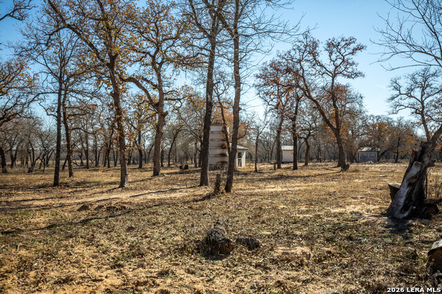 Listing photo id 37 for 1387 County Road 304