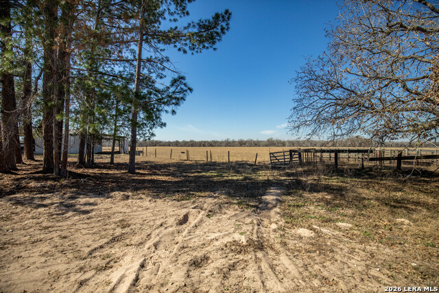 Listing photo id 2 for 1387 County Road 304