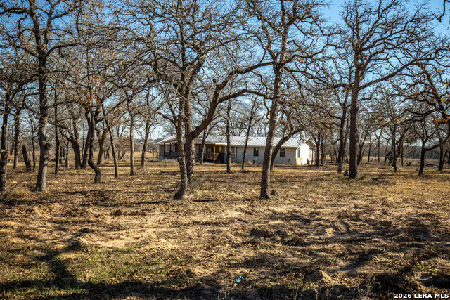 Listing photo id 38 for 1387 County Road 304