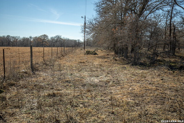 Listing photo id 40 for 1387 County Road 304