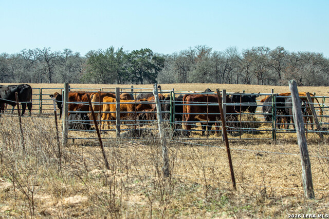 Listing photo id 41 for 1387 County Road 304
