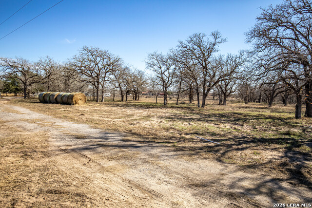 Listing photo id 4 for 1387 County Road 304