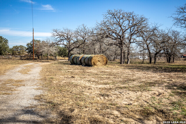 Listing photo id 5 for 1387 County Road 304