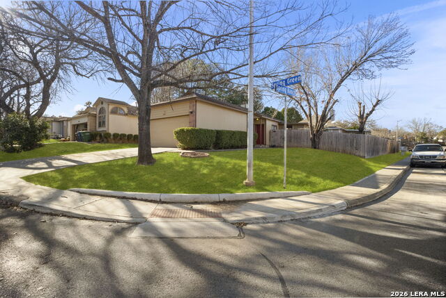 Image 3 of 33 For 5891 Spring Grn