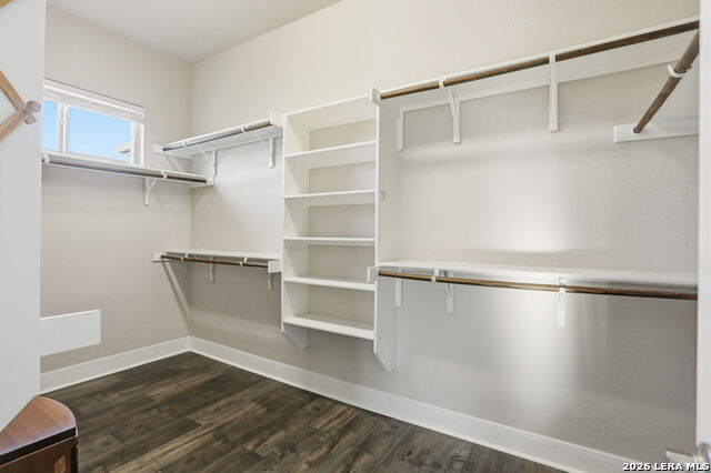 Image 27 of 50 For 3231 Lilly Flower