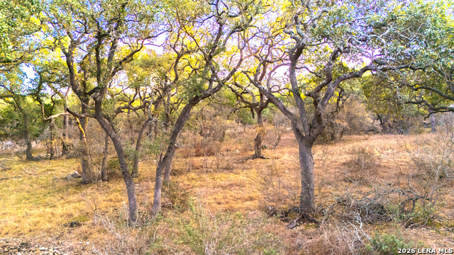 Image 9 of 17 For 0 Rebecca Creek Rd