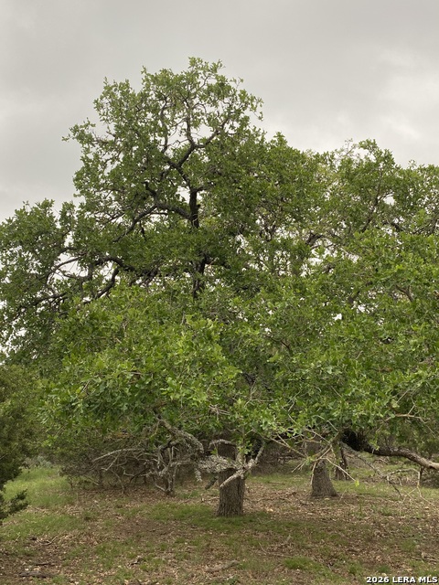 Image 11 of 15 For 106 Ulmus