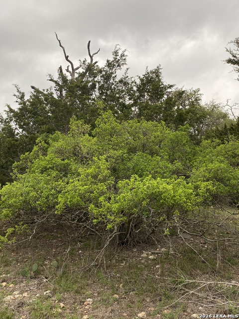 Image 13 of 15 For 106 Ulmus