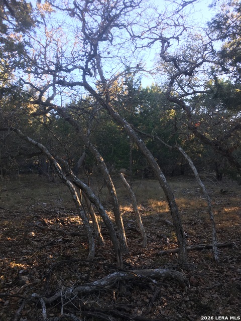 Image 5 of 15 For 106 Ulmus