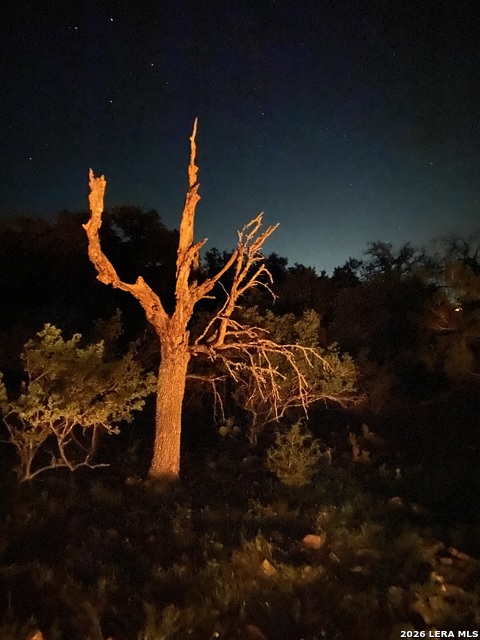 Image 9 of 15 For 106 Ulmus