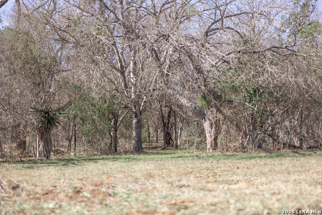 Image 43 of 51 For 3190 Pittman Rd