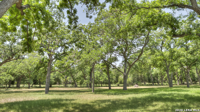 Image 29 of 89 For 727 Leakey Springs Rd.