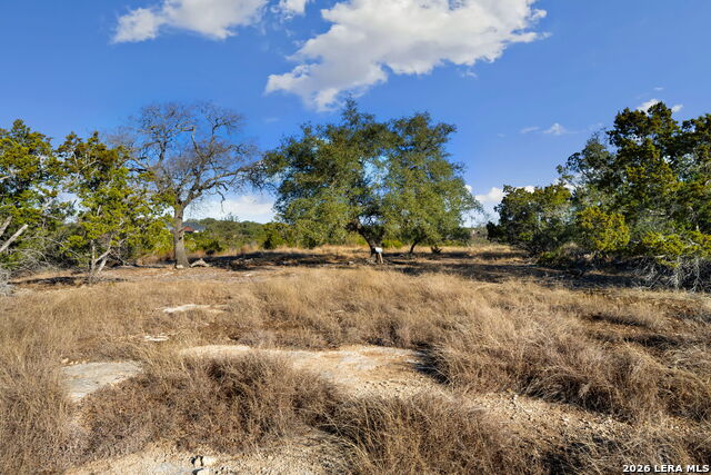 Image 17 of 20 For 180 La Vista Ct