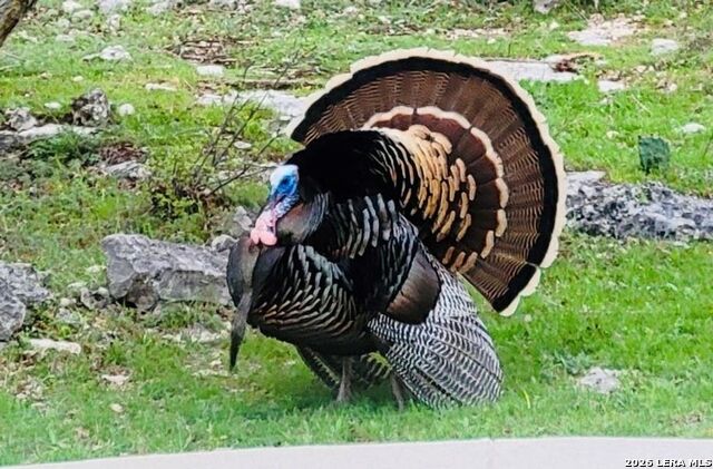 Image 42 of 44 For 318 River Ridge