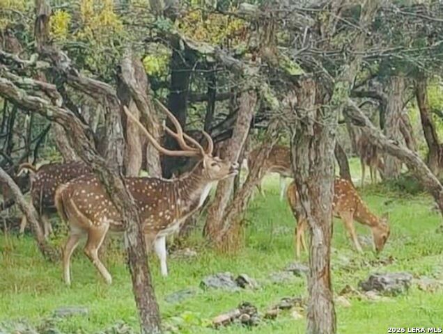 Image 43 of 44 For 318 River Ridge