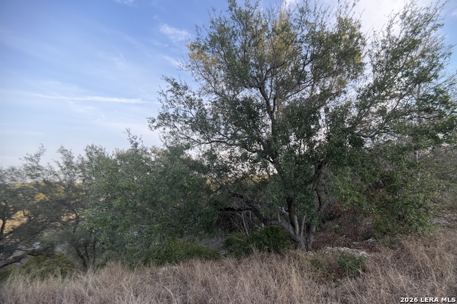 Image 12 of 28 For 23906 Carina