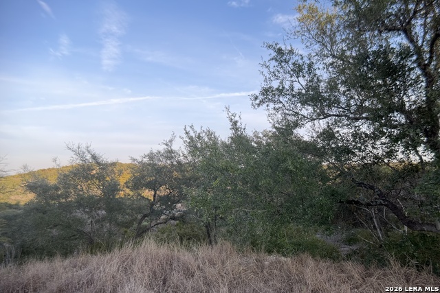 Image 14 of 28 For 23906 Carina