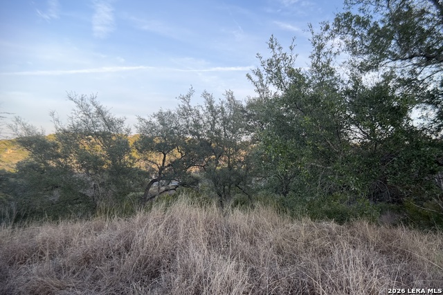 Image 15 of 28 For 23906 Carina