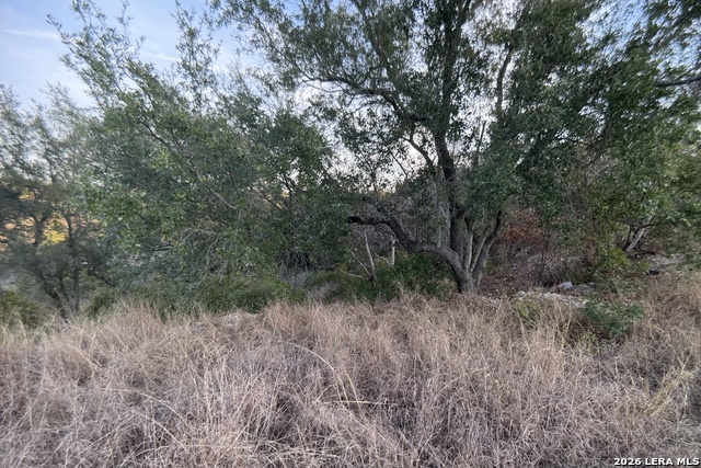 Image 16 of 28 For 23906 Carina