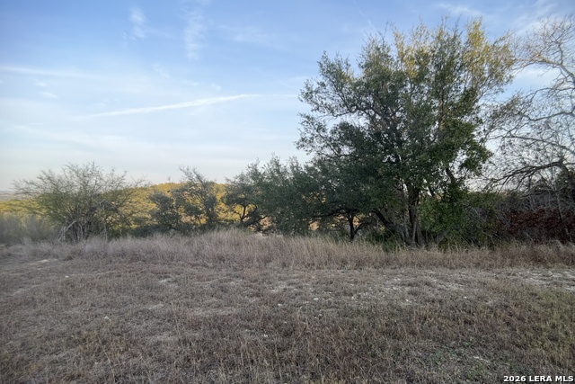 Image 9 of 28 For 23906 Carina