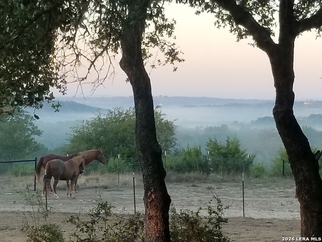 Image 37 of 49 For 1041 Mystic Breeze