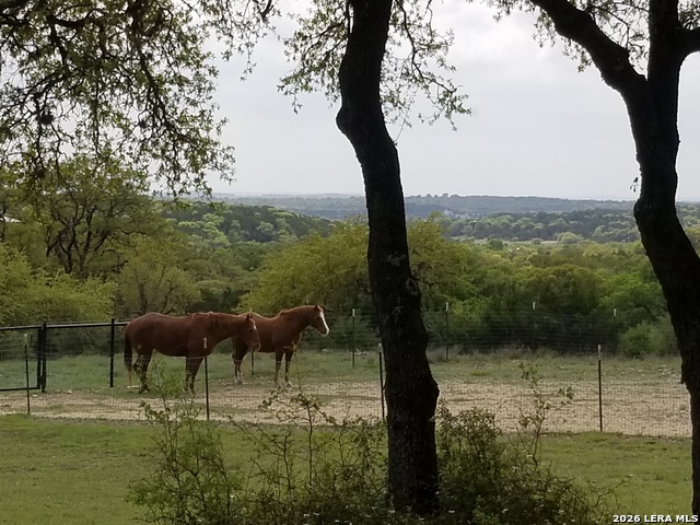 Image 38 of 49 For 1041 Mystic Breeze