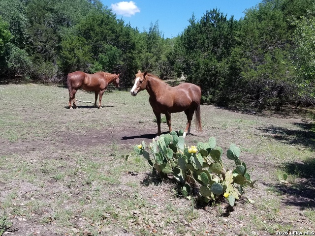 Image 39 of 49 For 1041 Mystic Breeze