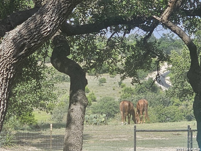 Image 41 of 49 For 1041 Mystic Breeze