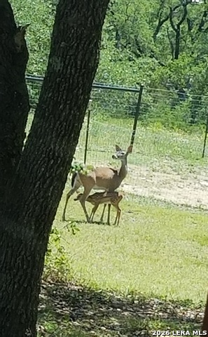 Image 43 of 49 For 1041 Mystic Breeze