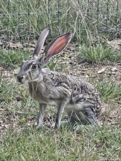 Image 44 of 49 For 1041 Mystic Breeze