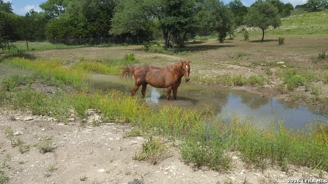 Image 45 of 49 For 1041 Mystic Breeze
