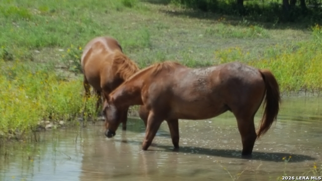 Image 46 of 49 For 1041 Mystic Breeze