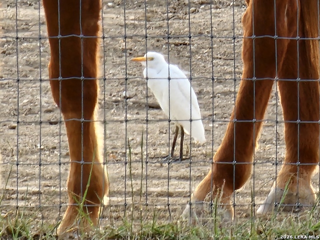 Image 48 of 49 For 1041 Mystic Breeze