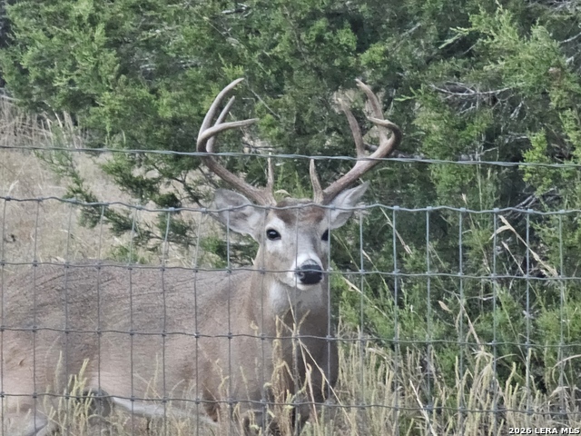 Image 49 of 49 For 1041 Mystic Breeze