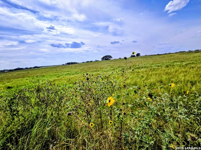 Image 10 of 14 For Tbd Fm472  