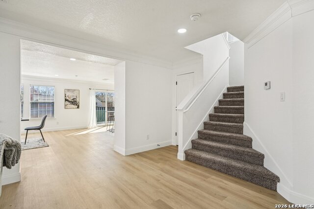 Image 16 of 27 For 10026 Bermuda Palm