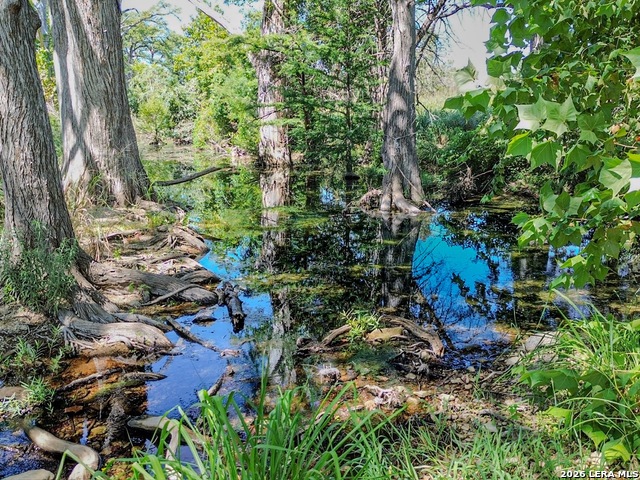 Details for 000 Ranch Rd 473, Blanco, TX 78606