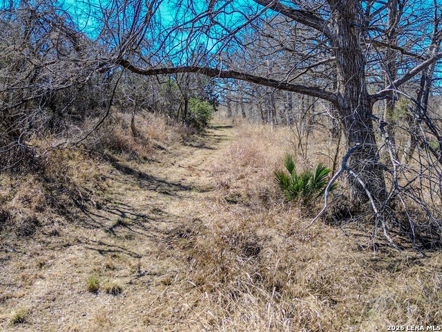 Image 11 of 55 For 000 Ranch Rd 473