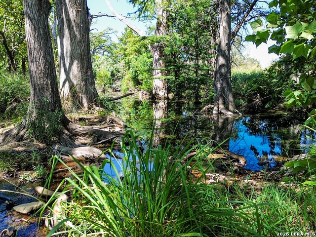 Image 12 of 55 For 000 Ranch Rd 473