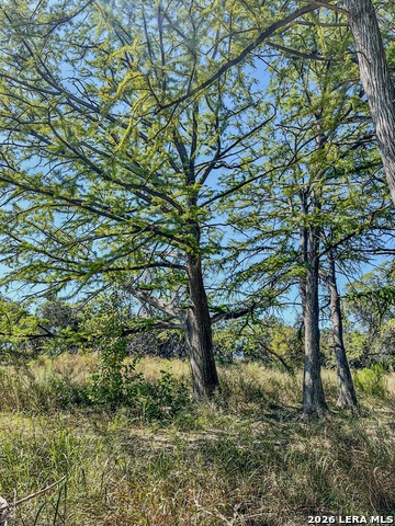 Image 14 of 55 For 000 Ranch Rd 473