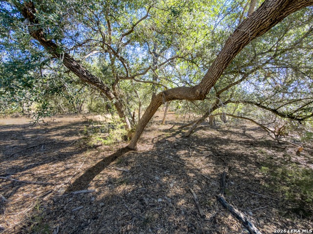 Image 17 of 55 For 000 Ranch Rd 473