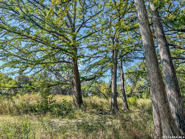 Image 2 of 55 For 000 Ranch Rd 473