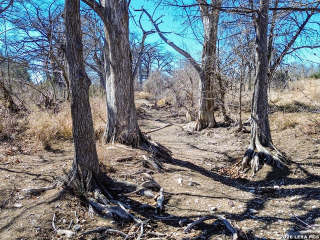 Image 20 of 55 For 000 Ranch Rd 473