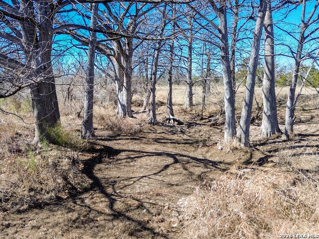 Image 29 of 55 For 000 Ranch Rd 473