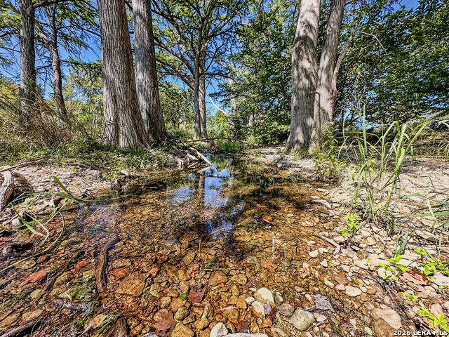 Image 3 of 55 For 000 Ranch Rd 473