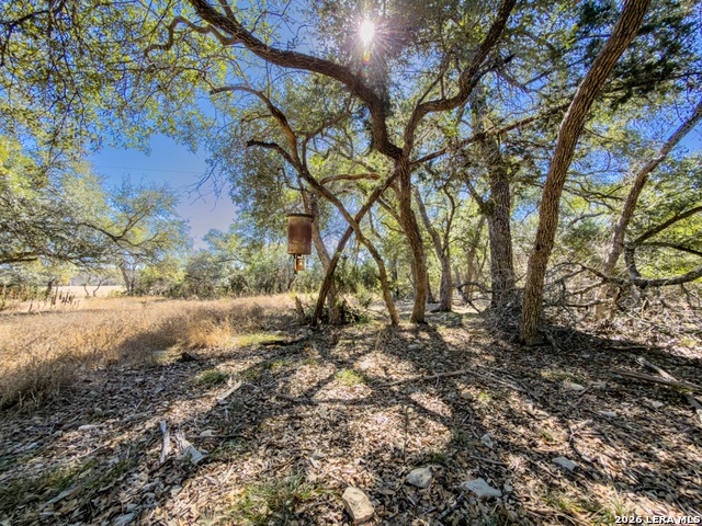 Image 4 of 55 For 000 Ranch Rd 473