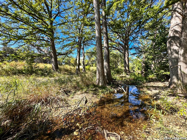 Image 6 of 55 For 000 Ranch Rd 473